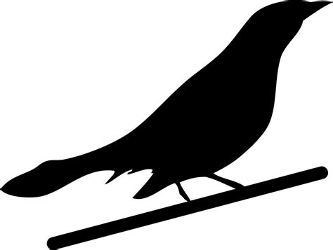 Free Bird Silhouette Png Images With Transparent Backgrounds