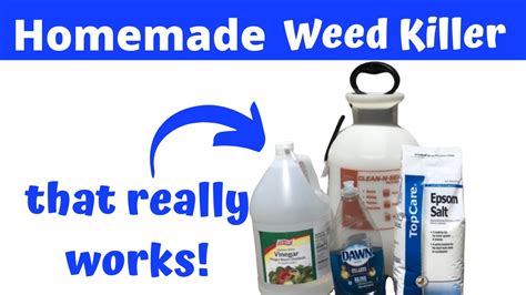 We did not find results for: Homemade Weed Killer - Just 3 Simple Ingredients - YouTube