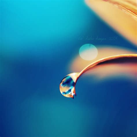 35 Incredible Examples Of Water Drop Photography Graphic Design Junction