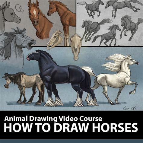 How To Draw Horses Course T The Art Of Aaron Blaise