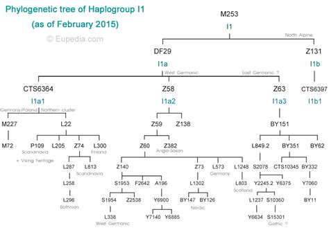 Haplogroup I1 Y Dna