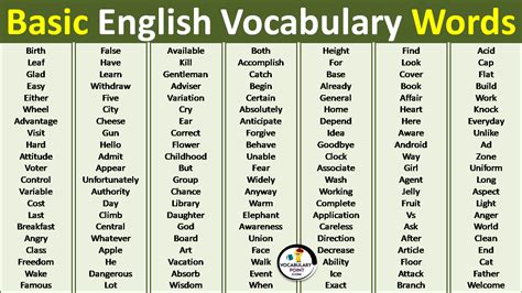 Basic Vocabulary Words Archives Vocabulary Point