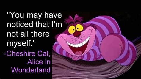 With his remarks, he teaches alice the 'rules' of wonderland. I'm Not All There -Cheshire Cat, Alice in Wonderland - YouTube