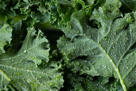 What Are The Health Benefits Of Kale