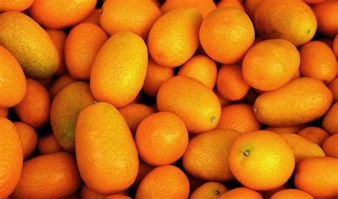 Tropical Fruit Orange Mini Free Photo On Pixabay