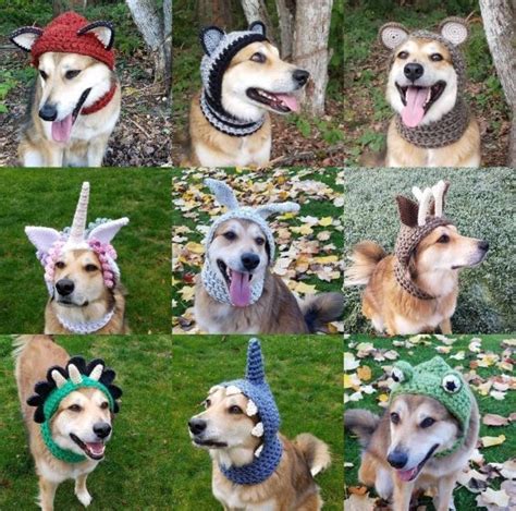 Crochet Dog Hats Pet Halloween Costumes Pet Costumes Crochet Dog Hat