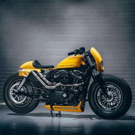 Hell Kustom Harley Davidson 48 By Shaw Speed And Custom
