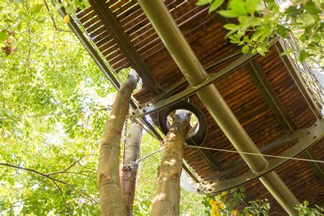 Kirstenbosch Tree Canopy Walkway Henry Fagan And Partners Canopy Outdoor Canopy Backyard Canopy
