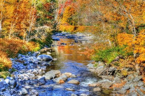 Autumn Stream Free Stock Photo Public Domain Pictures