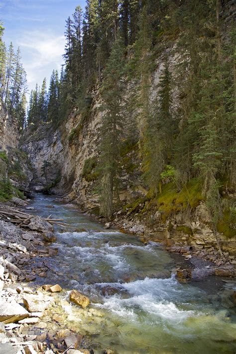 Johnston Creek Travelling Towards Bow River Banff National Park A