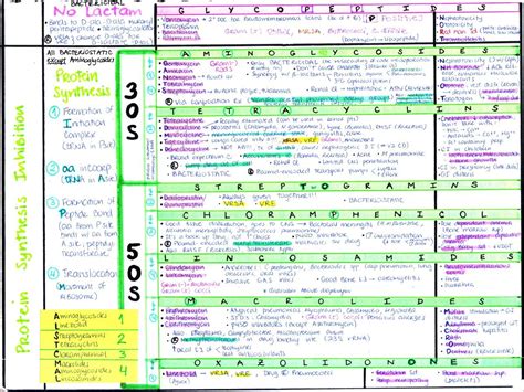 Katie Md — Mynotes4usmle Antibiotics Complete Chart Nursing Study