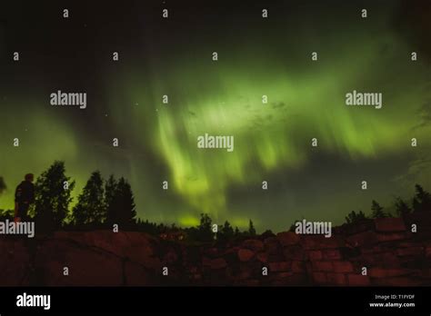 Beautiful Aurora Borealis Nothern Lights In Karelia Russia Stock