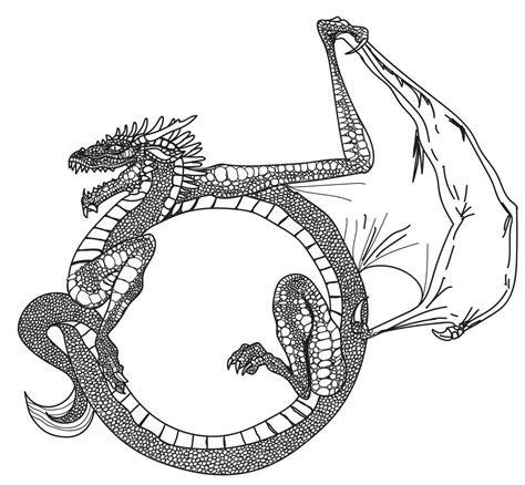 tatuaje arte dragón mano dibujo Vector en Vecteezy