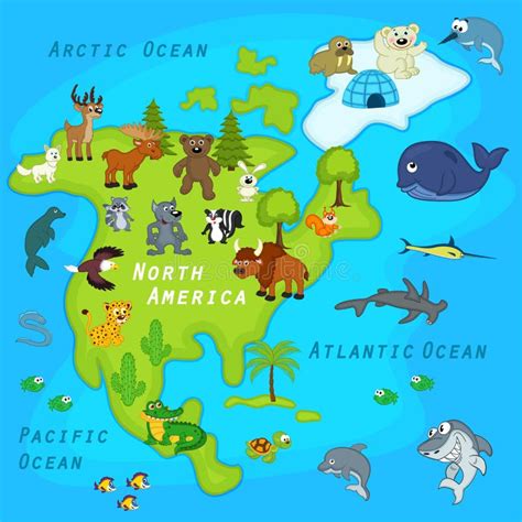 Mapa Dos Desenhos Animados De America Do Norte No Vetor Foto De Stock Images And Photos Finder