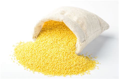 Corn gluten meal animal feed high protein corn protein meal. Corn Gluten Meal - Sulkem
