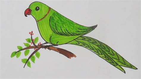 Easy and simple drawing for children with step by step. How to Draw smiling Parrot - simple nature drawing - very ...