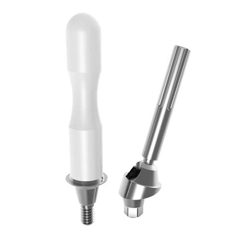 Implantat Abutment Titan Way Mix Geass Srl Mit Innenverbindung Gerade Gewinkelt