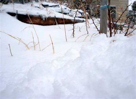 March Maddening Snowstorms Garden In Delight