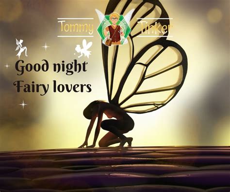 Good Night Fairy Lovers Fairy Friends My Fantasy World Good Night