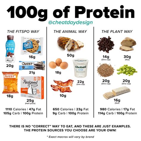 100g Of Protein Protein Nutrition Healthy High Protein Meals Best