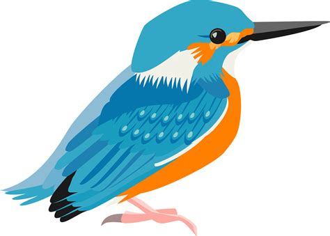 Kingfisher Png Images Transparent Free Download