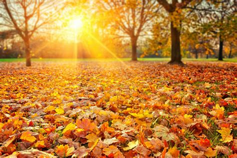 Sundown Syndrome Can Worsen During Fall And Winter Months