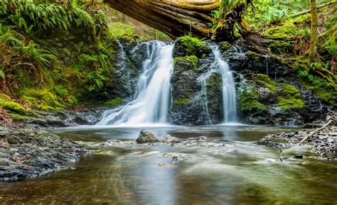 Free Images Nature Forest Waterfall Creek Leaf River Stream