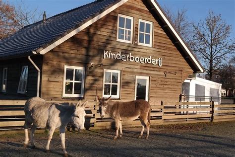 Kinderboerderij Wamel Heeft Een Grote Diversiteit Aan Dieren Go Kids