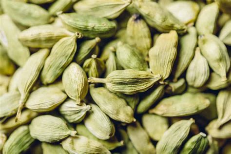 Growing Cardamom How To Plant And Care For This Classic Spice