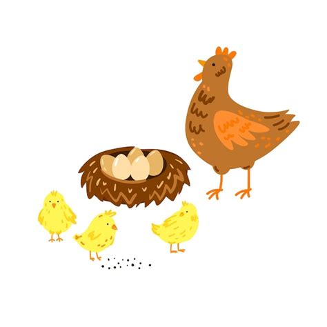 Premium Vector Vector Illustration Of Hen Chicks And Nest With Eggs
