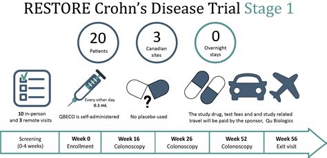 Part 1 Crohn S Disease Phase 2 Clinical Trial Quibd