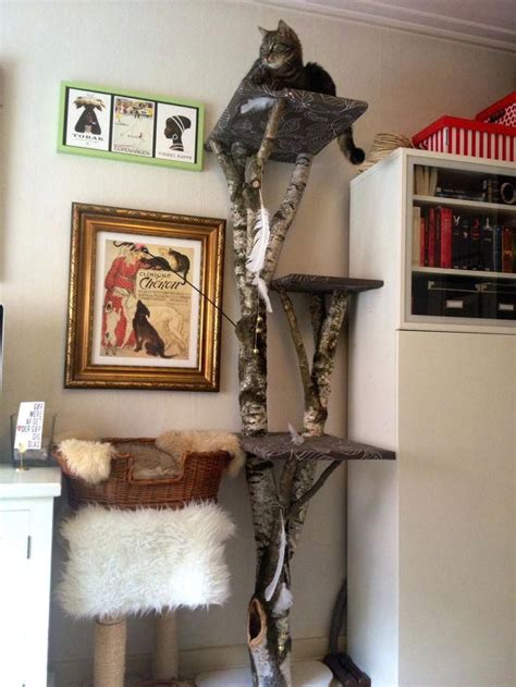 Davey tree shares our best diy tree removal, diy tree felling and diy cutting advice. diy cat tree my homemade cat tree turned out so beautiful and loves it diy cat tree cardboard ...