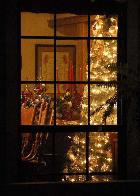 353 Seeing Christmas Trees Through The Window 1000 Awesome Things