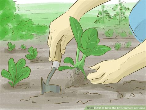 6 Ways To Save The Environment At Home Wikihow