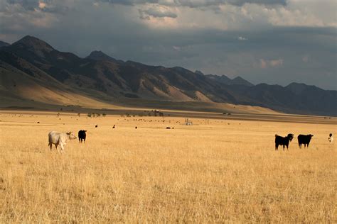 Northern Great Plains Fourth National Climate Assessment