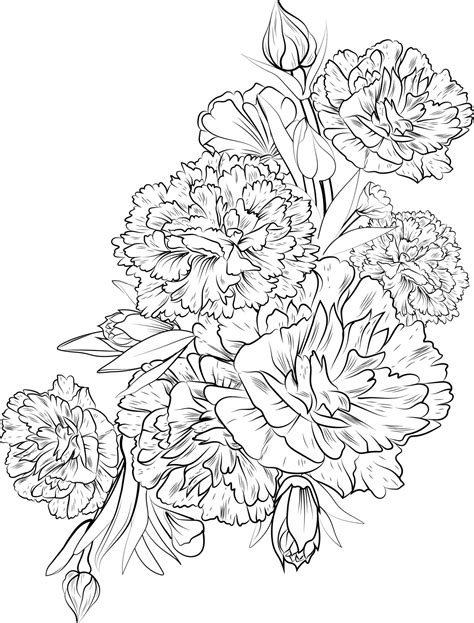 Set Of A Decorative Stylized Carnation Flower Isolated On White