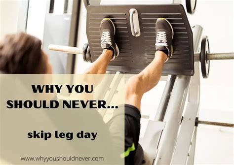Why You Should Never Skip Leg Day Why You Should Never