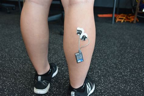 Electromyography Emg Colorado Mesa University