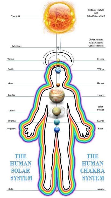 Collection Of Human Frequencies Reflexology Chakra Charts Energy