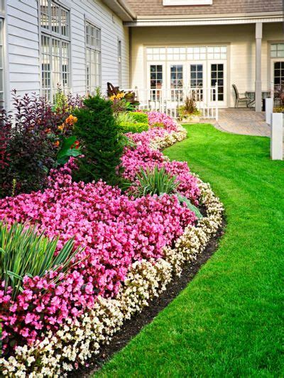 How To Create Borders With Flowers And Other Plants Gardeningknowhow