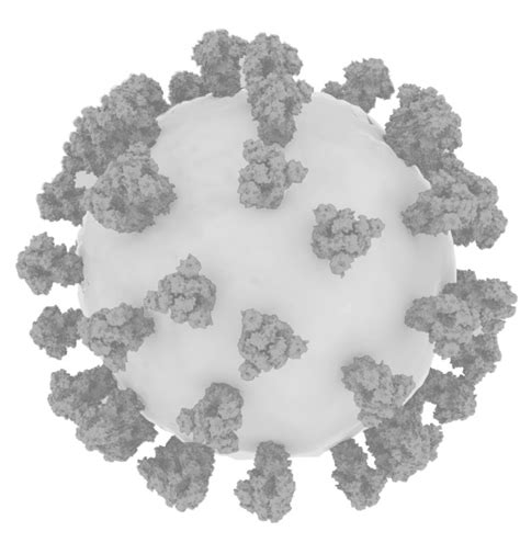 What Research On Coronavirus Structure Can Tell Us About How To Kill It