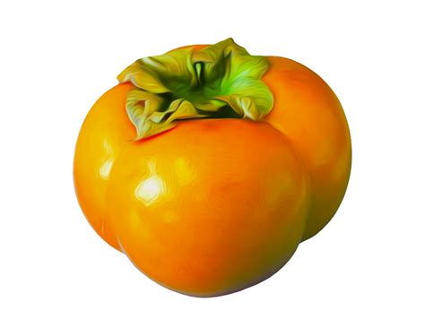 Persimmon Png Image Transparent Image Download Size 996x788px