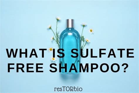 What Is Sulfate Free Shampoo Top Full Guide 2022 Restorbio