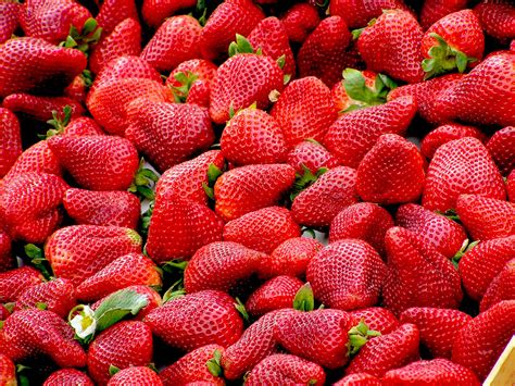 Red Strawberries · Free Stock Photo