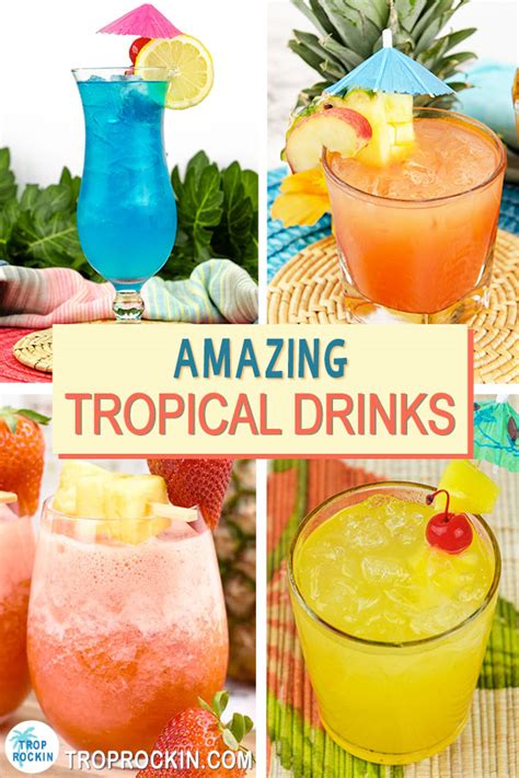 15 Tropical Drinks Refreshing And Yum Trop Rockin