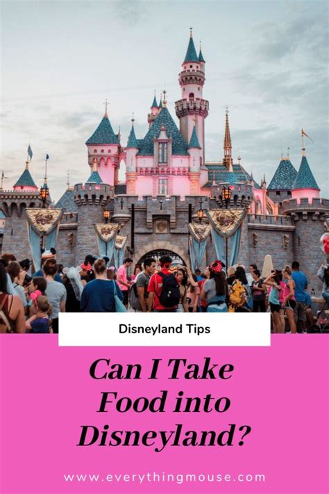 Also tripods or monopods must fit inside a standard backpack. Can You Bring Food Into Disneyland (With images ...
