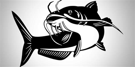 Rangkuman tentang gambar sketsa gambar ikan lengkap dengan cara membuat, contoh sketsa ikan lele, koi, hias, mudah, ikan nemo, cupang dan ada banyak ikan cupang yang bisa anda gambar seperti ikan cupang halfmoon, serit, slayer, doublee tail, fancy, plakat, giant dan beberapa jenis ikan. Gambar Ikan Lele Hitam Putih - Gambar Ikan HD