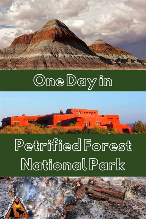 A Guide To Camping In The Painted Desert Of Petrified Forest National