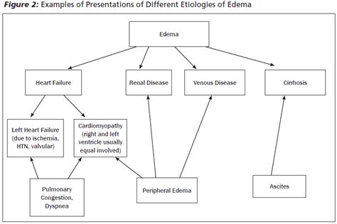 Im Swollen Evaluation Of Peripheral Edema In The