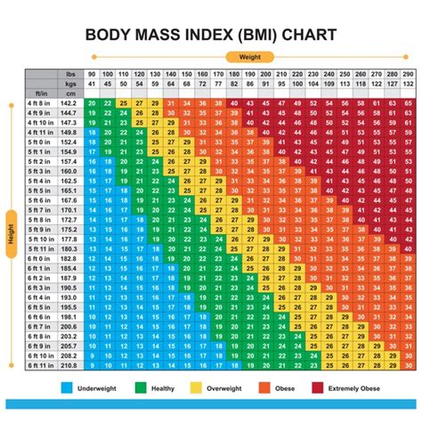 Body Weight Scale Chart